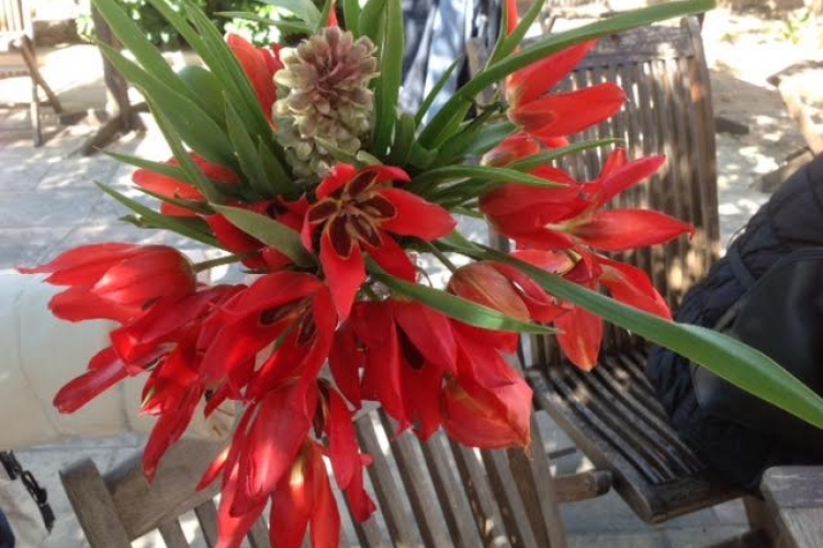 ΕΚΔΡΟΜΗ ΧΙΟΣ 25/03-27/03/2016